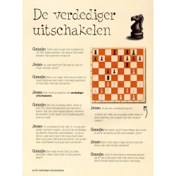 Schaken voor de jeugd