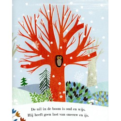 Lente, zomer, herfst, winter