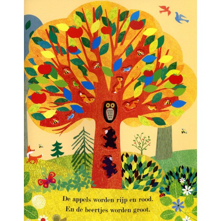 Lente, zomer, herfst, winter