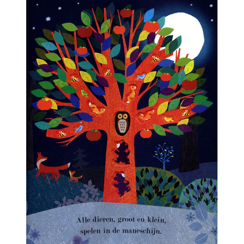 Lente, zomer, herfst, winter