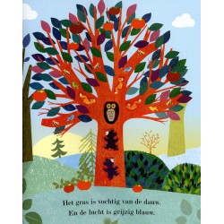 Lente, zomer, herfst, winter