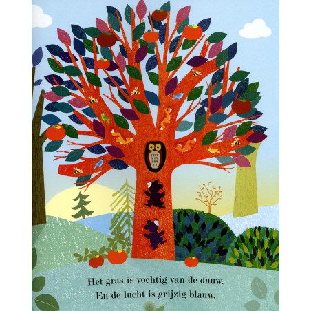 Lente, zomer, herfst, winter