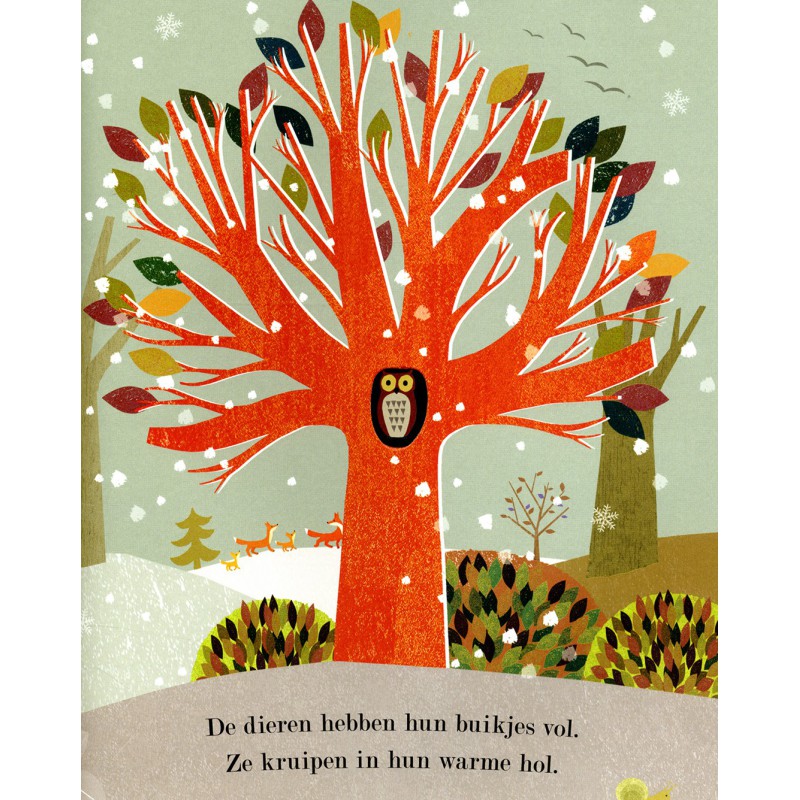 Lente, zomer, herfst, winter