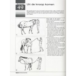 101 horsemanship oefeningen 101 horsemanship oefeningen