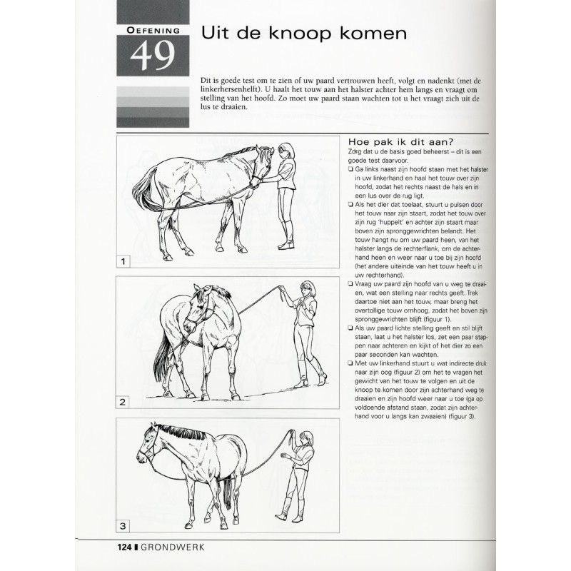 101 horsemanship oefeningen 101 horsemanship oefeningen