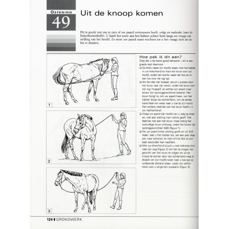 101 horsemanship oefeningen 101 horsemanship oefeningen