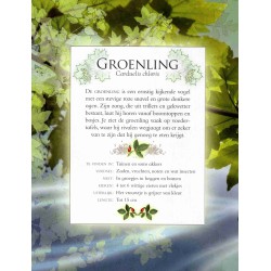 Vogelgeluiden in de tuin