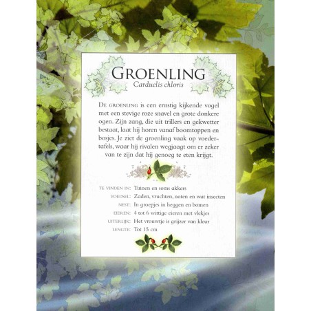 Vogelgeluiden in de tuin