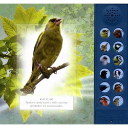 Vogelgeluiden in de tuin