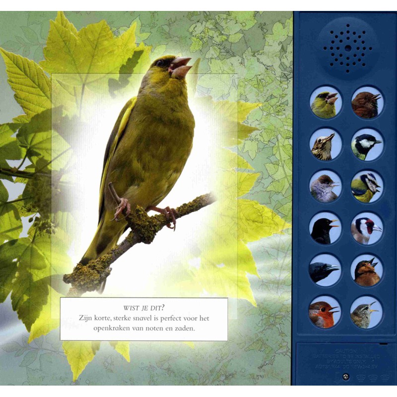 Vogelgeluiden in de tuin