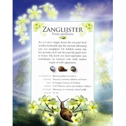 Vogelgeluiden in de tuin