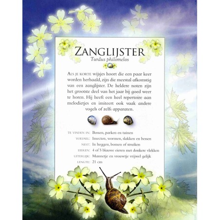 Vogelgeluiden in de tuin