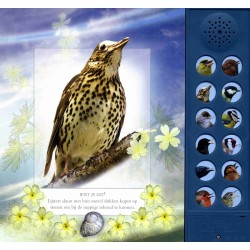 Vogelgeluiden in de tuin