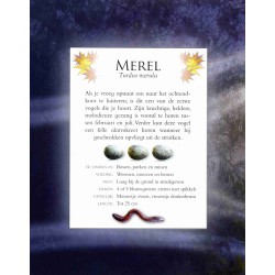 Vogelgeluiden in de tuin