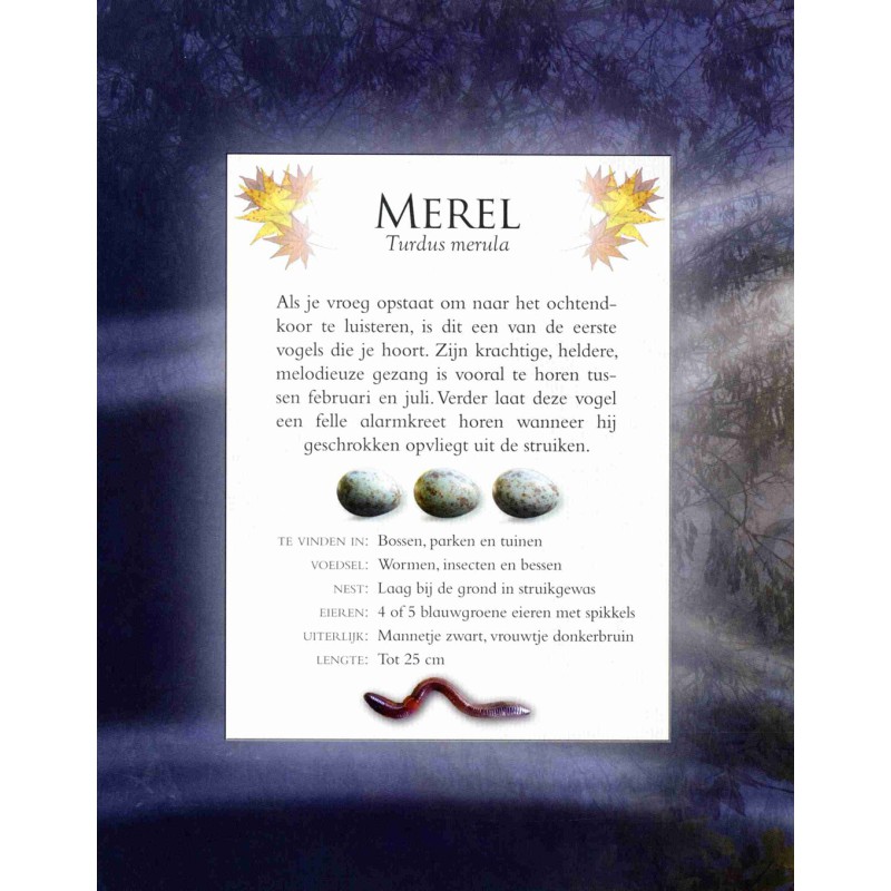 Vogelgeluiden in de tuin