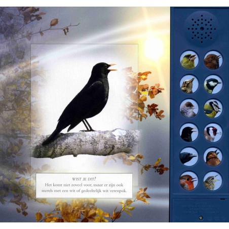 Vogelgeluiden in de tuin