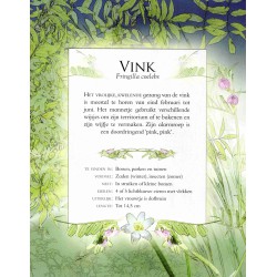 Vogelgeluiden in de tuin