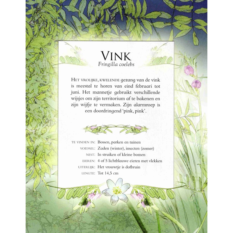 Vogelgeluiden in de tuin