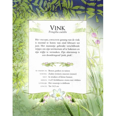 Vogelgeluiden in de tuin