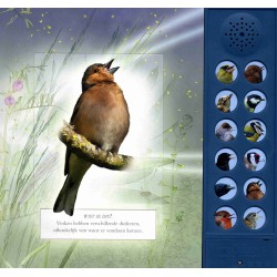 Vogelgeluiden in de tuin
