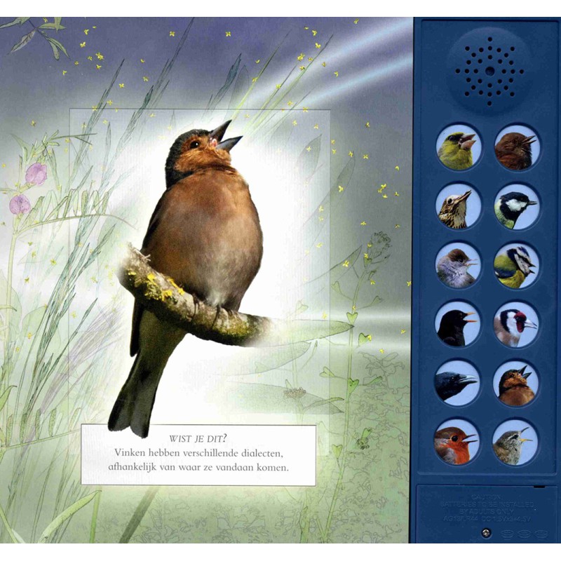 Vogelgeluiden in de tuin