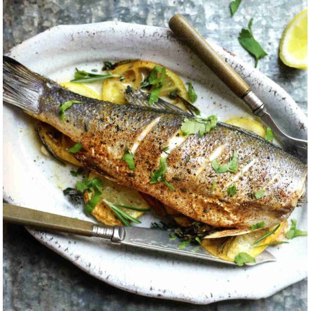 500 koolhydraatarme gerechten