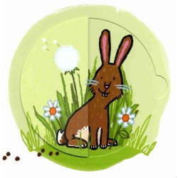 Van wie is deze poep?