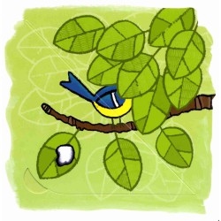 Van wie is deze poep?