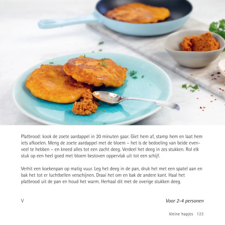 500 vegetarische gerechten