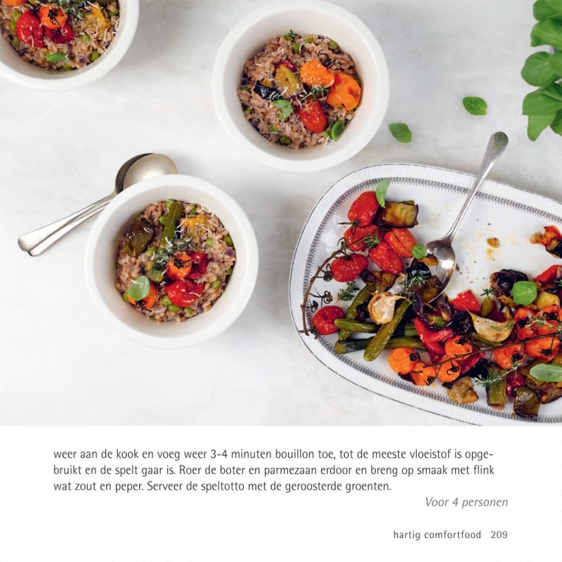 500 vegetarische gerechten