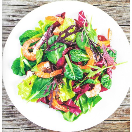 500 gerechten voor 1 persoon