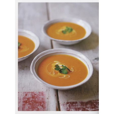 De ultieme soepmaker