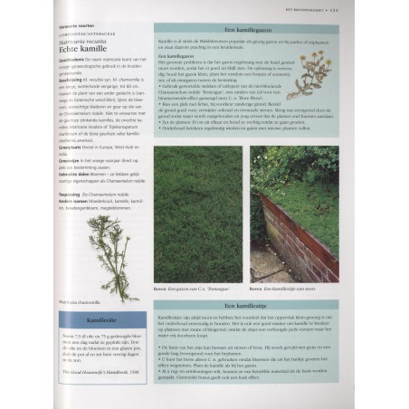 Kruiden kweken en gebruiken