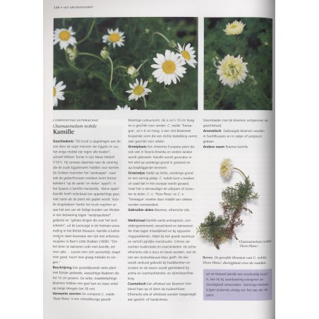 Kruiden kweken en gebruiken