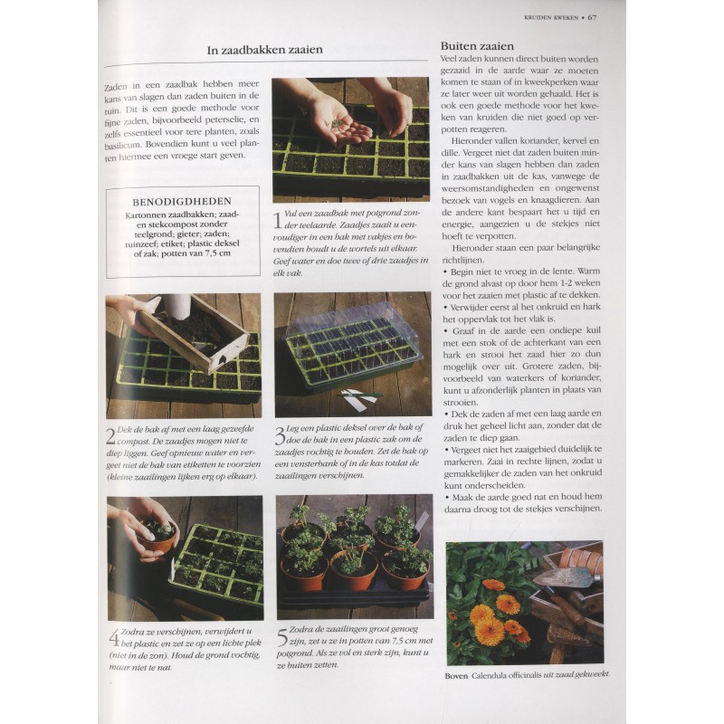 Kruiden kweken en gebruiken