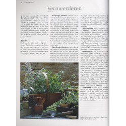 Kruiden kweken en gebruiken