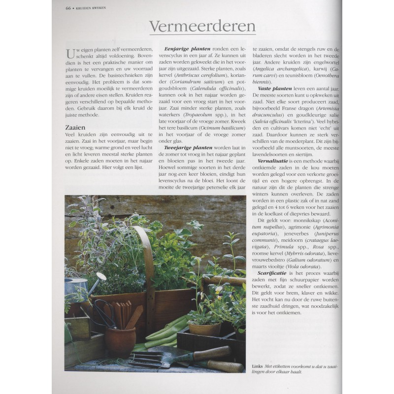 Kruiden kweken en gebruiken