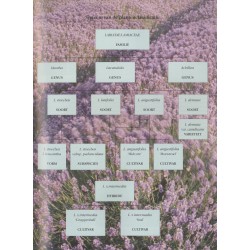 Kruiden kweken en gebruiken