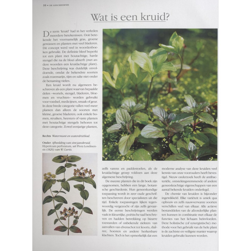 Kruiden kweken en gebruiken