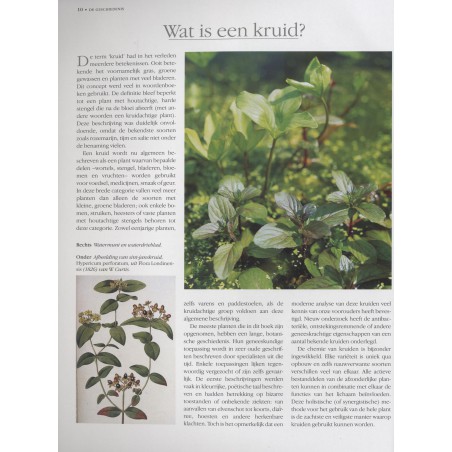 Kruiden kweken en gebruiken