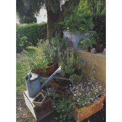 Kruiden kweken en gebruiken