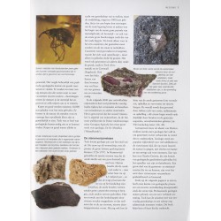 Gesteenten & Mineralen