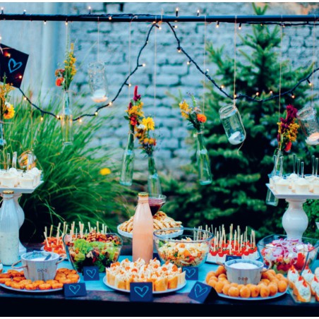 500 fingerfood recepten