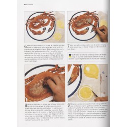 Acrylverf, olieverf & gouache