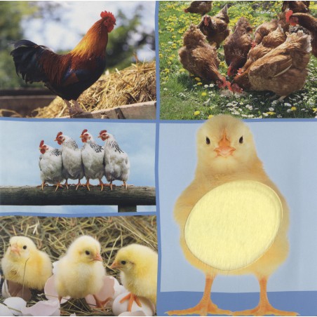 Welk dier hoor ik hier? - Boerderijdieren