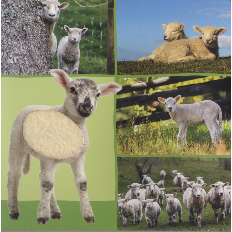 Welk dier hoor ik hier? - Boerderijdieren