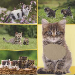 Welk dier hoor ik hier? - Lievelingsdieren