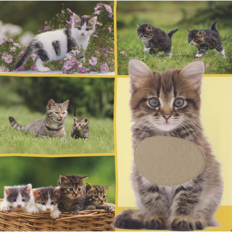 Welk dier hoor ik hier? - Lievelingsdieren