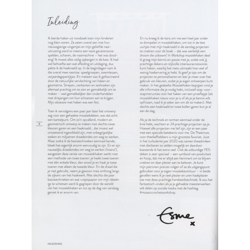 Workshop mozaïekhaken