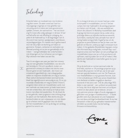 Workshop mozaïekhaken